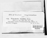 Image Associated With the Occurence